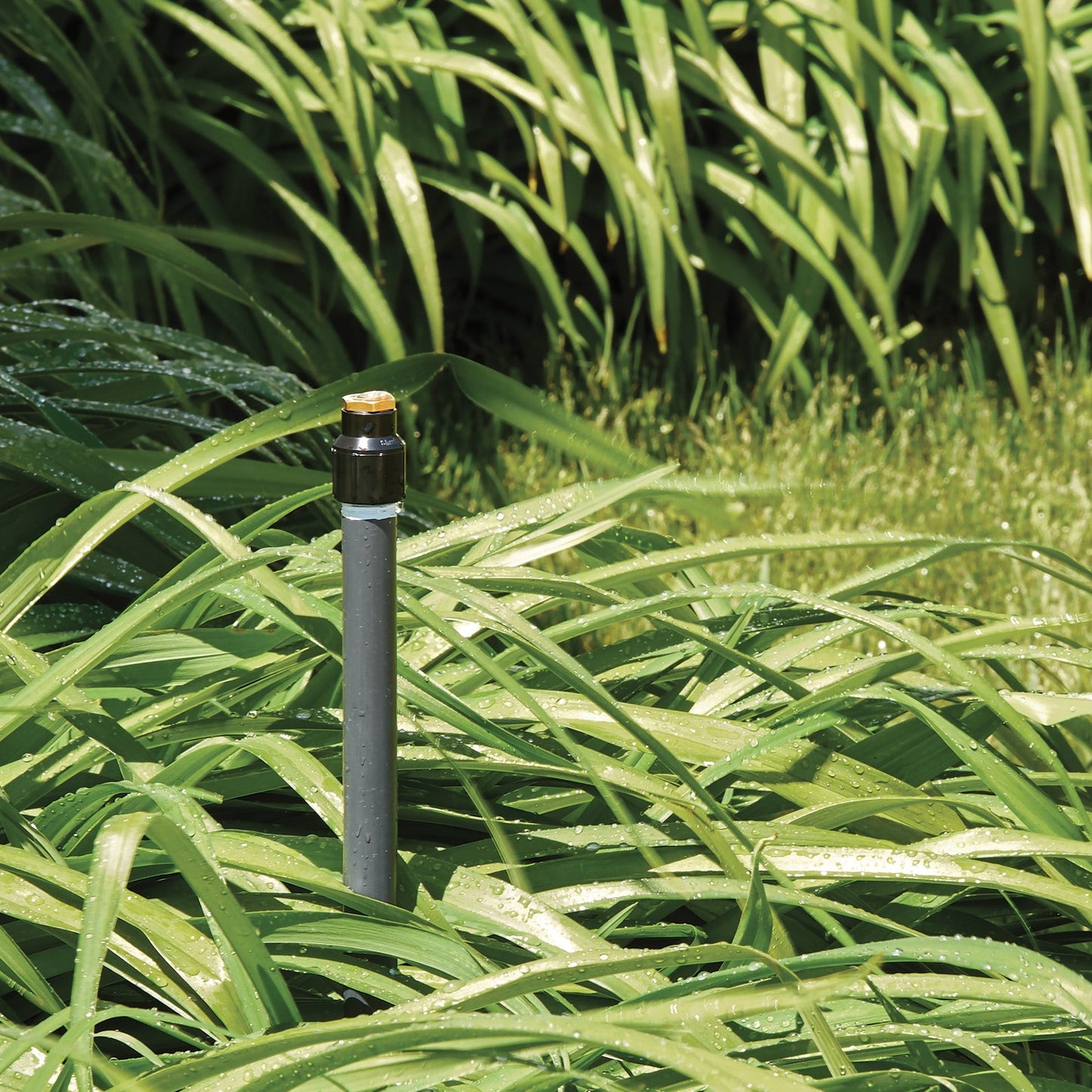 Shrub Head w/Brass Half Pattern Insert Nozzle 54039