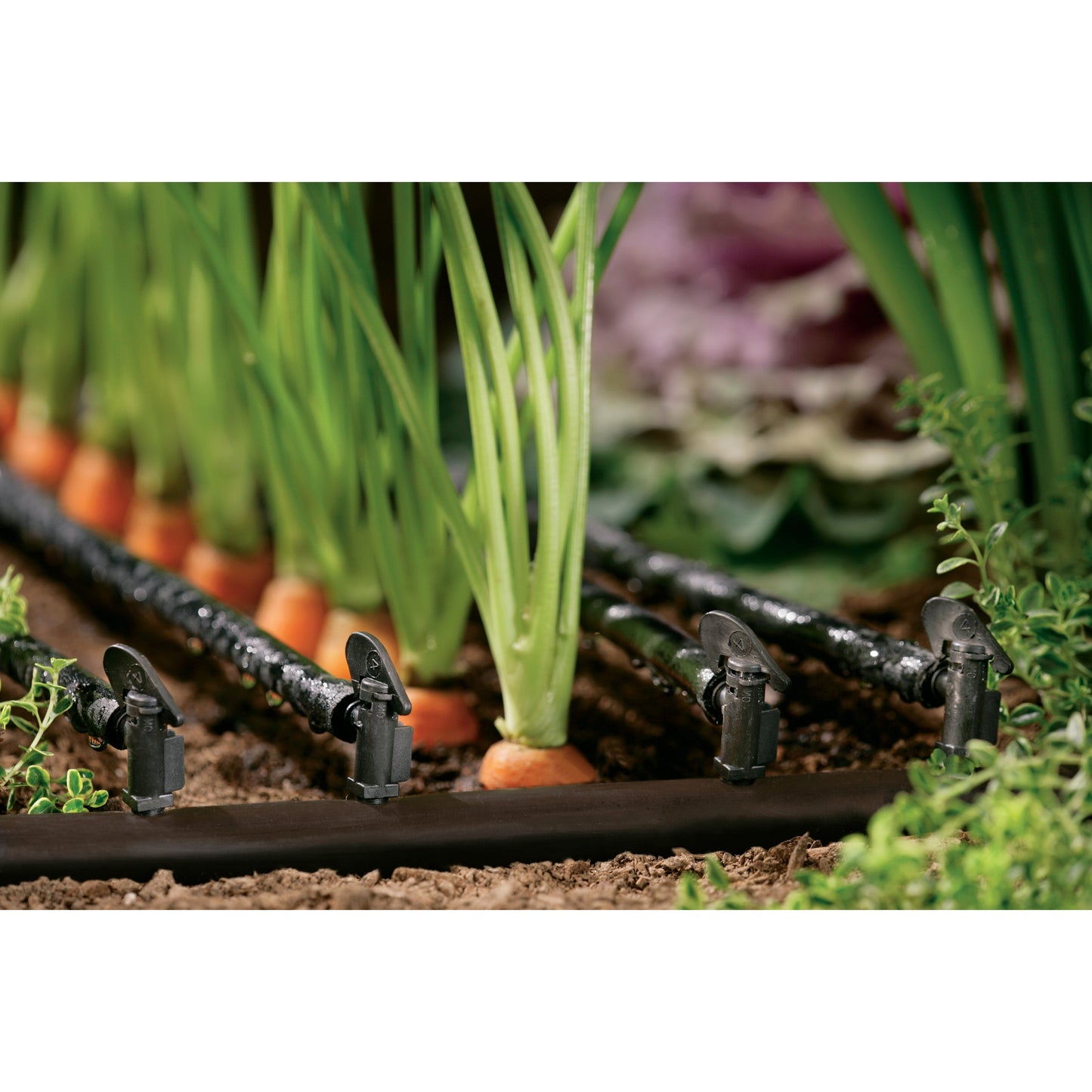 1/4-in. Barb 1-GPH Drip Irrigation Flag Dripper/Emitters | 10-pack | 65199