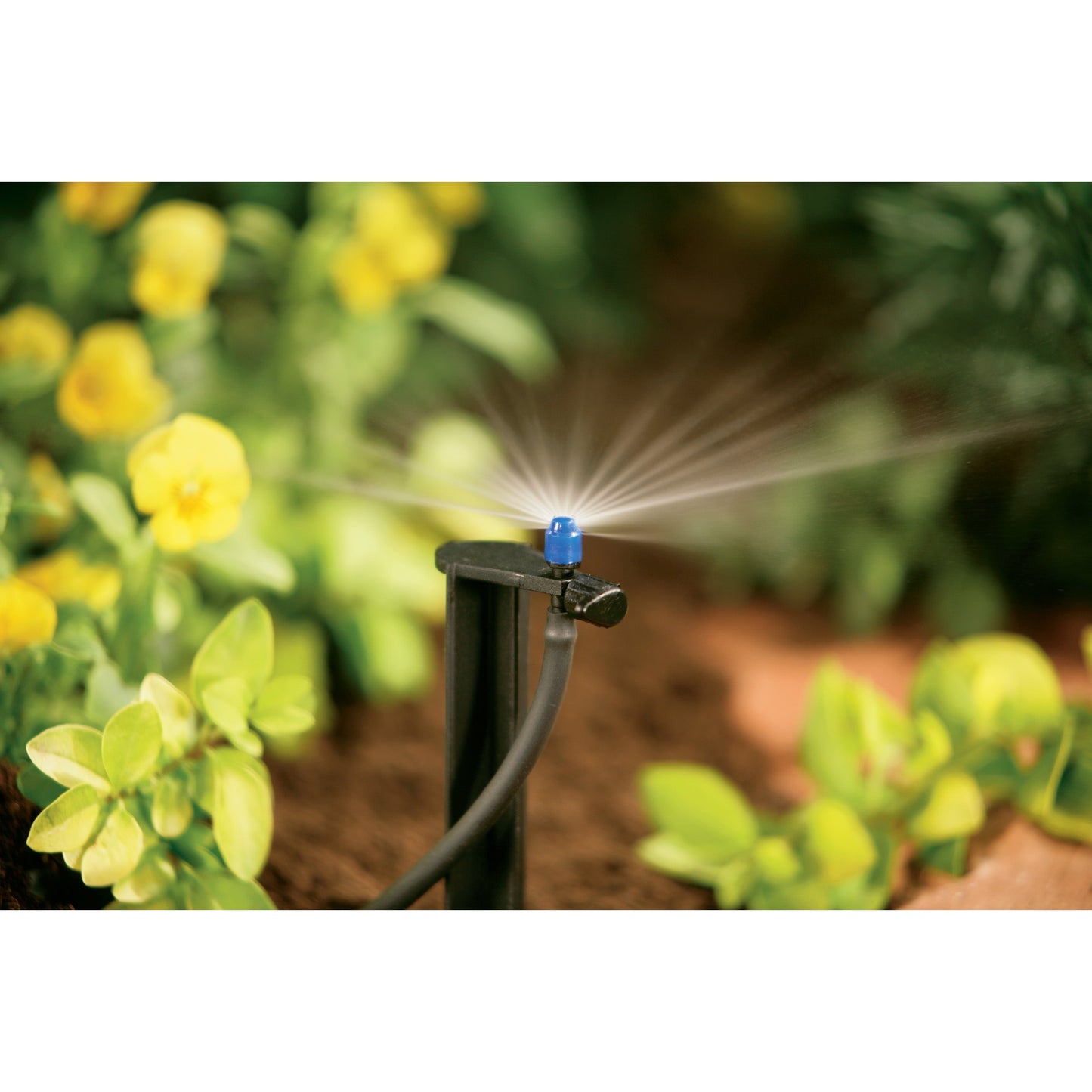 1/4" Barb Micro-Sprinkler Half Pattern on 12" Stake 67137