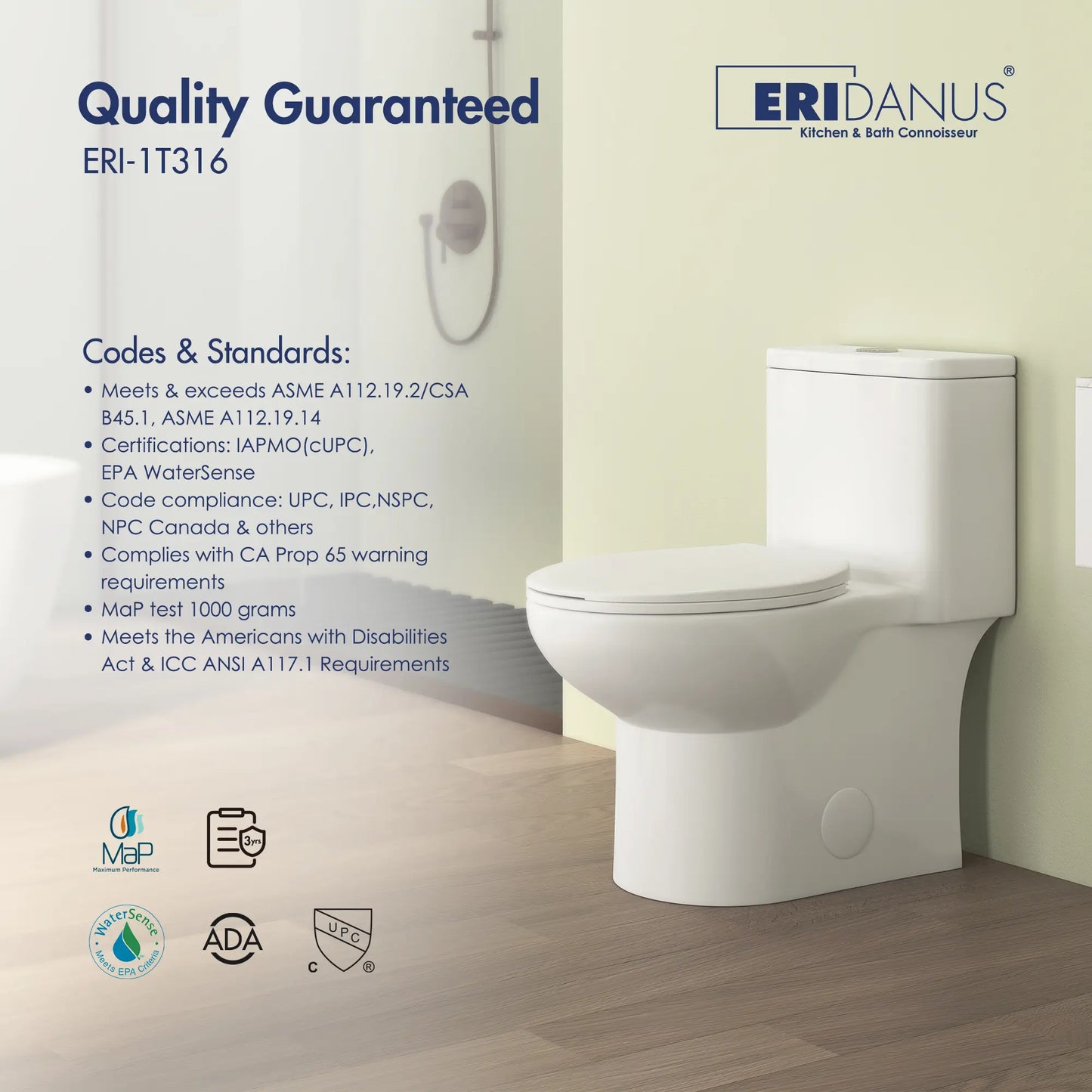 Dublin 1.1/1.6 GPF Elongated Chair Height One-Piece Toilet, Floor Mounted