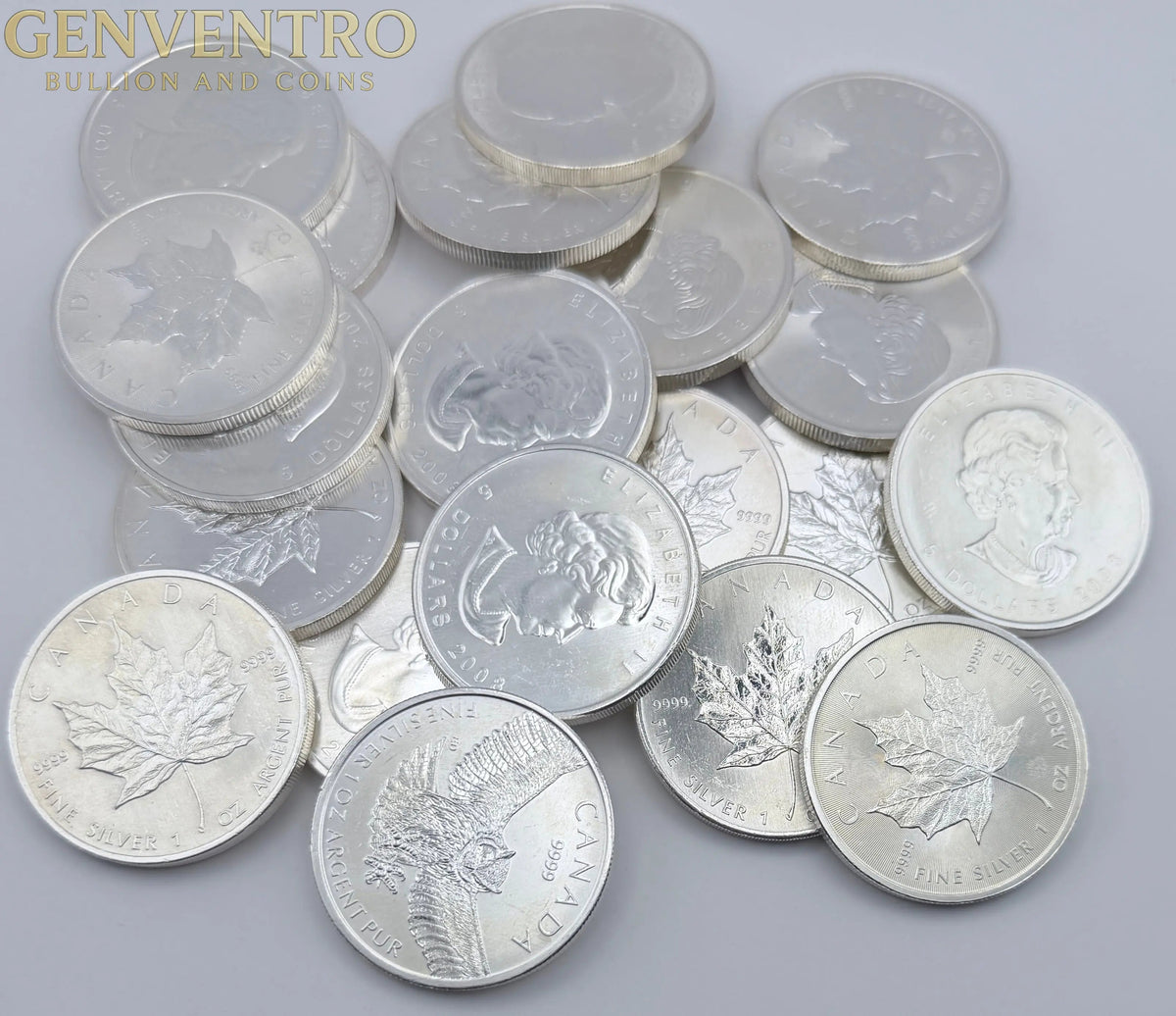 1 oz Canadian Silver Maple Leaf Coin .9999 Fine Silver (Random Year)