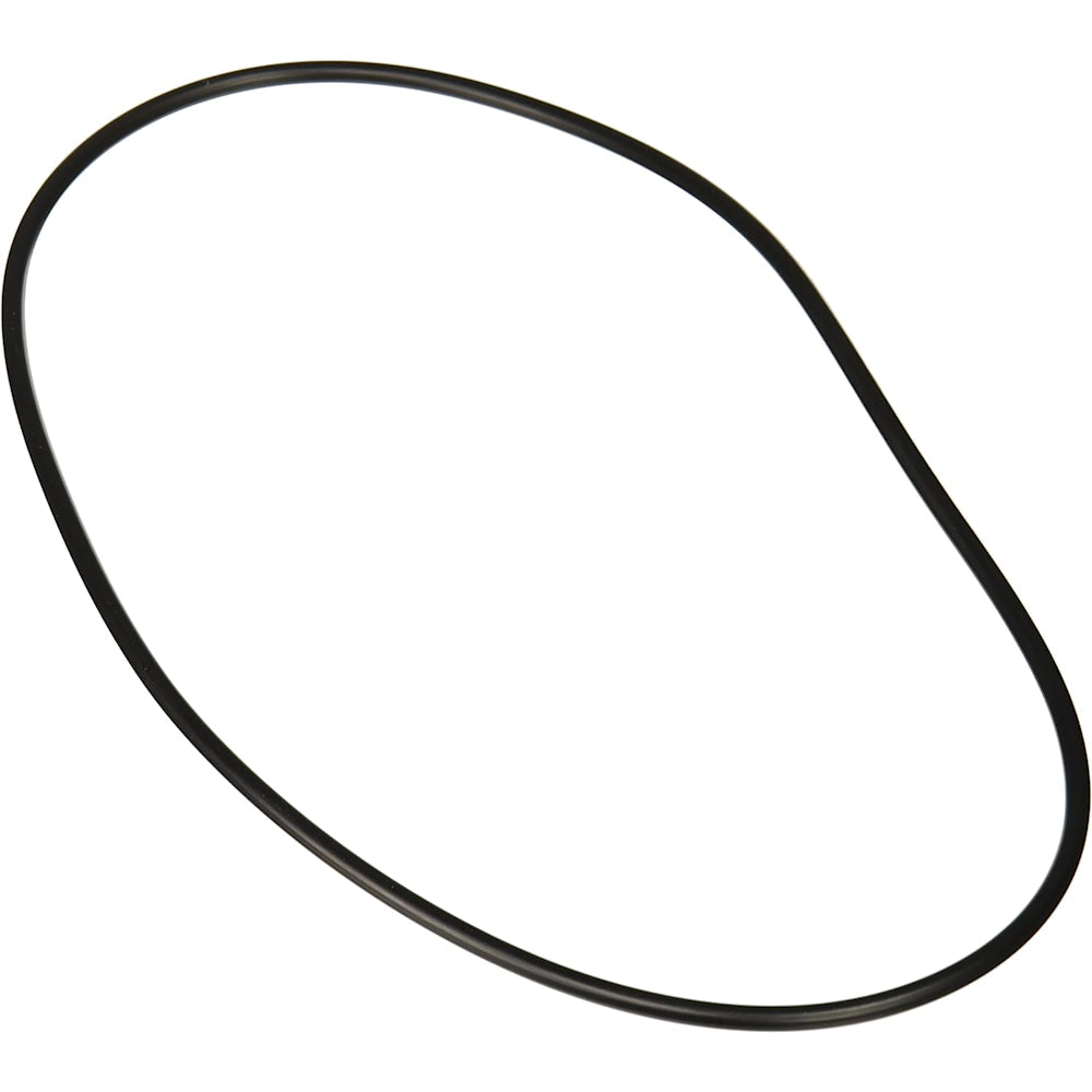 Backplate O Ring | Jandy | R0446300 | Pro Series Replacement Part | Authentic OEM