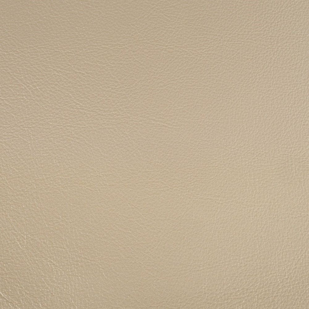 Danae - Side Chair (Set of 2) - Synthetic Leather , Champagne & Gold