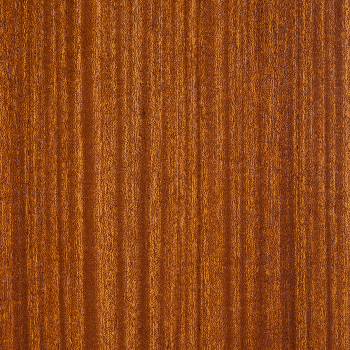 Sapele