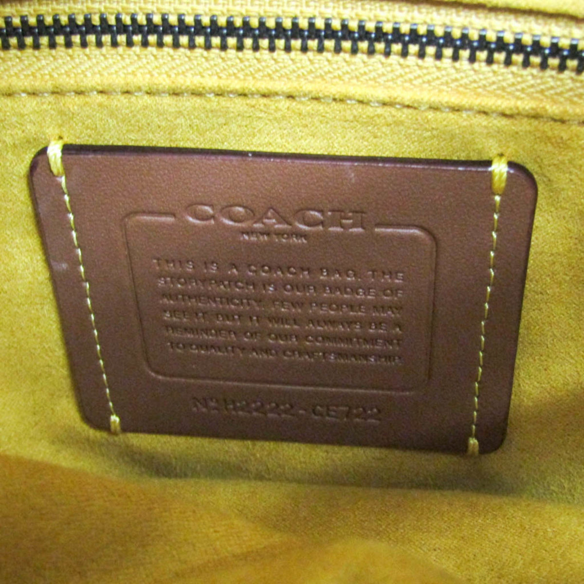 Coach Pillow Tote · Leather