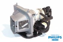Projector Lamp for Dell 1000 1609X; Dell 1000 1609WX; Dell 1000 1609HD; Dell 1000 1510X; Dell 1000 1