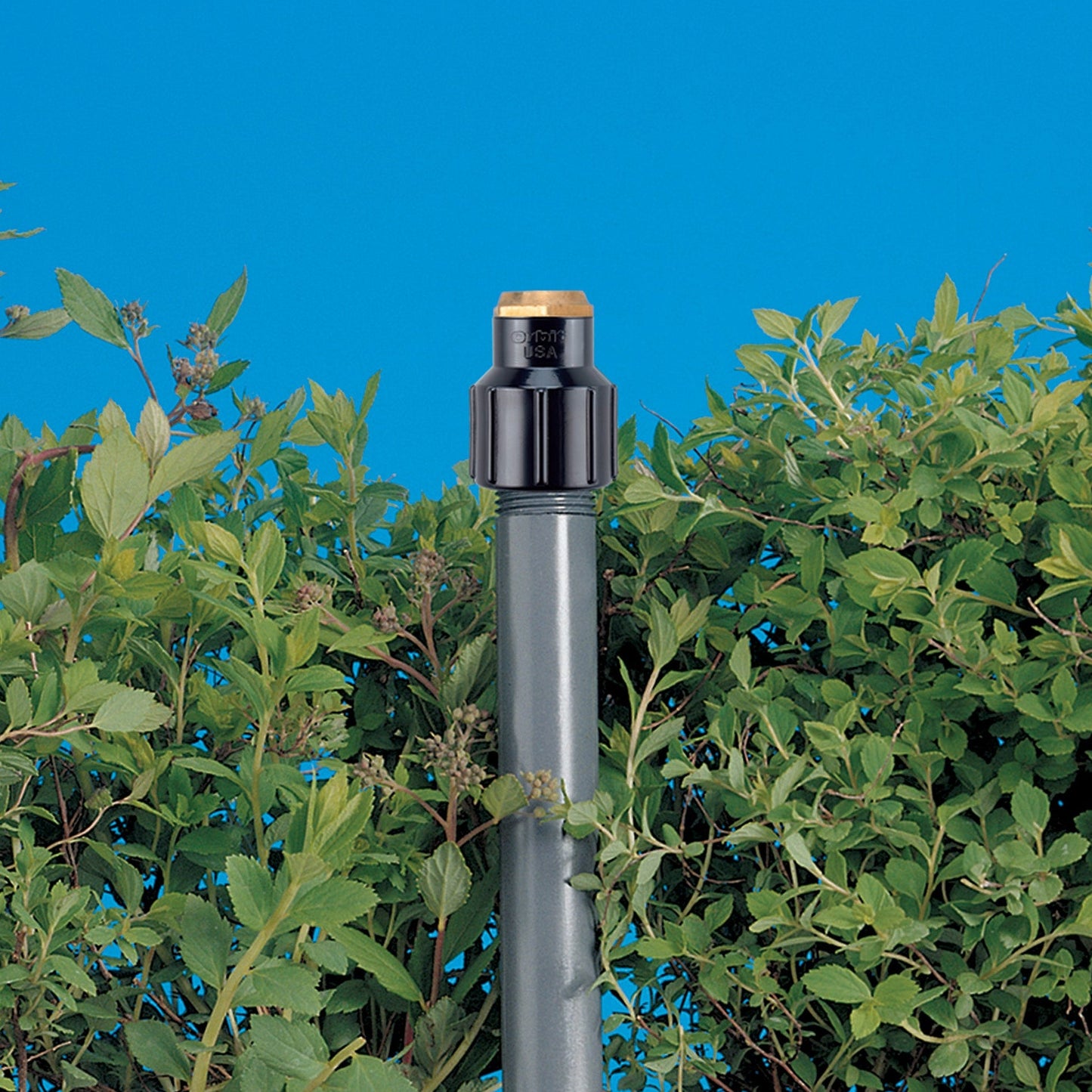 Shrub Head w/Brass Half Pattern Insert Nozzle 54039