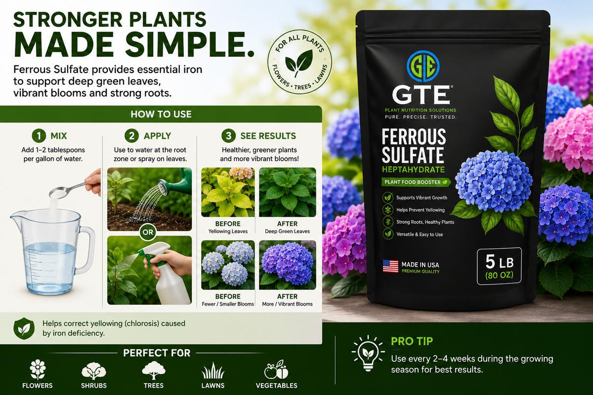 GTE Ferrous Sulfate Powder – 3 lb, 20% Iron, Water-Soluble Plant Supplement