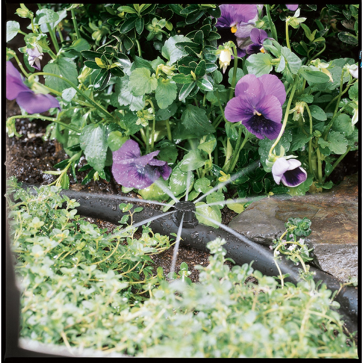 1/4 in. Barb Drip Irrigation Multi-Stream Drip Emitter, 10-Pack | 67100
