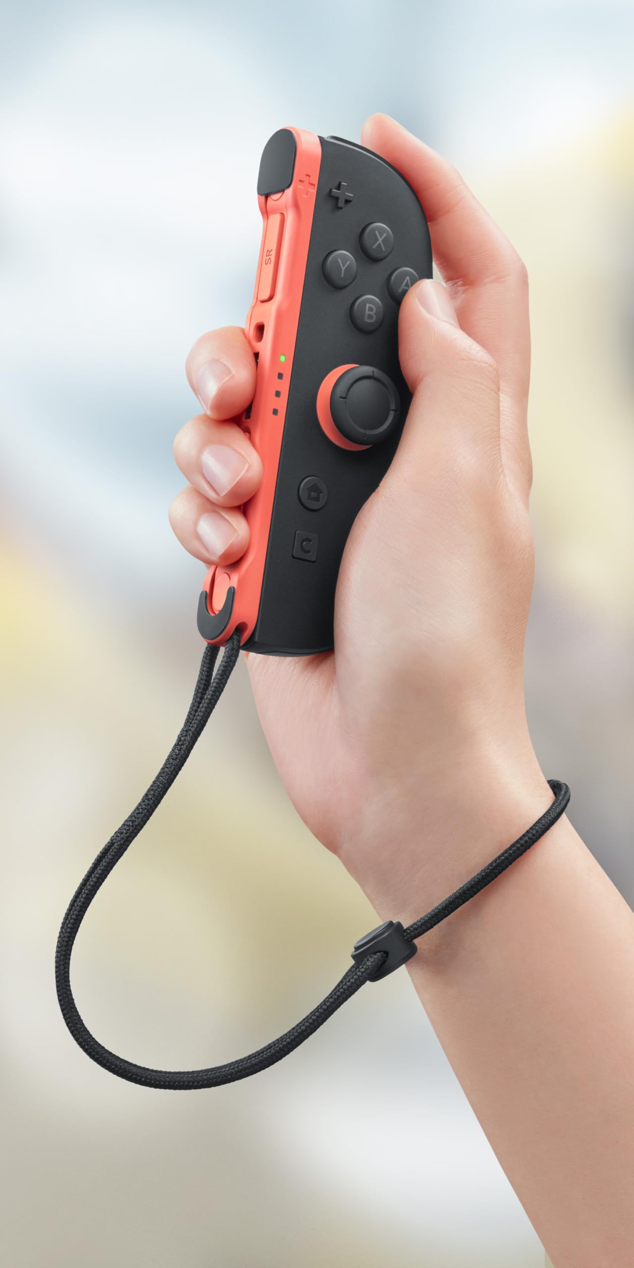 Nintendo Joy-Con™ 2 Wheel (set of 2)