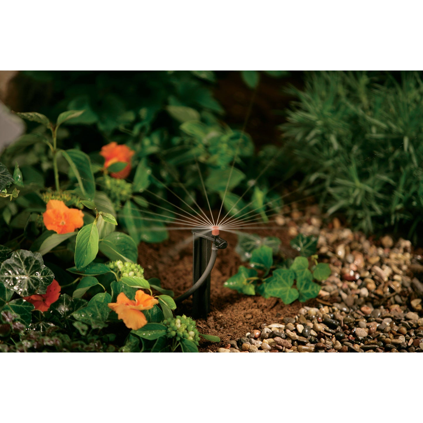 1/4" Barb Micro-Sprinkler Full Pattern on 12" Stake 67136