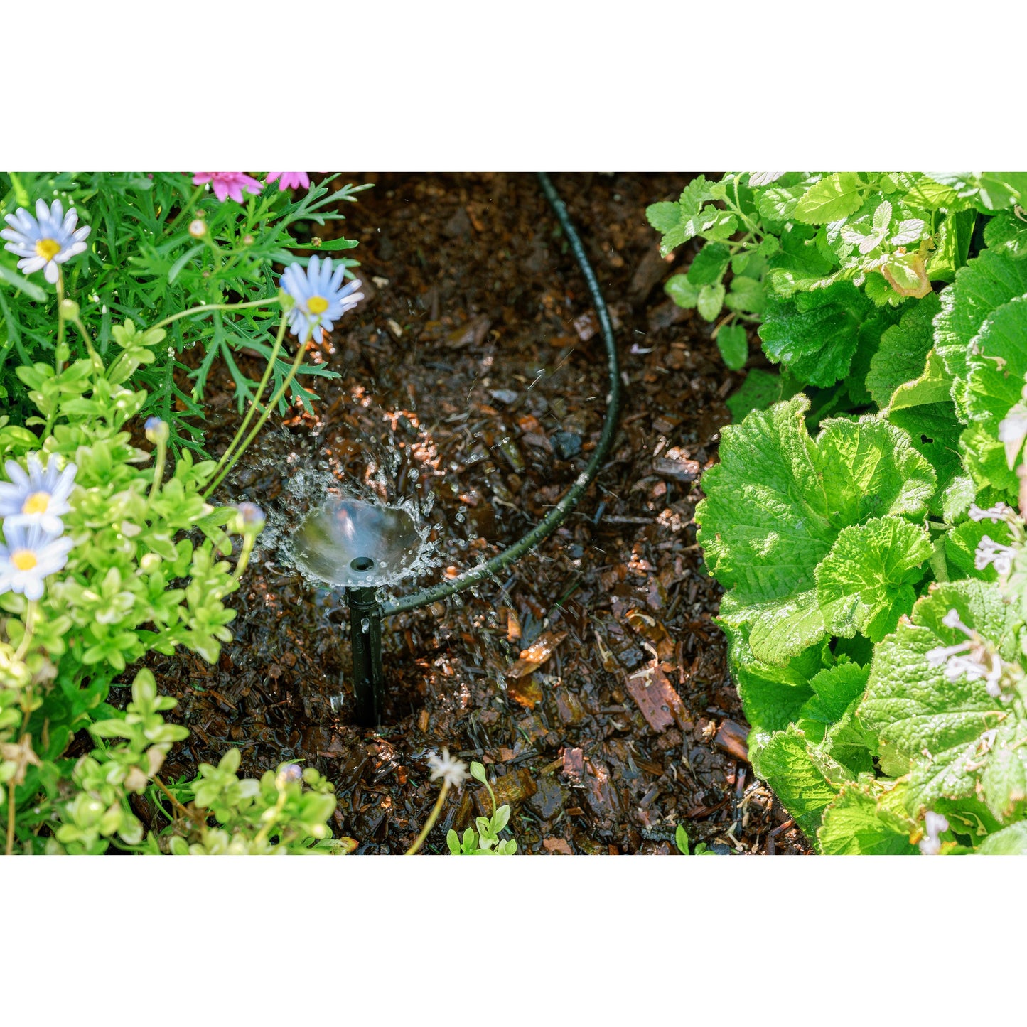 Patio & Potted Plant Kit 67523