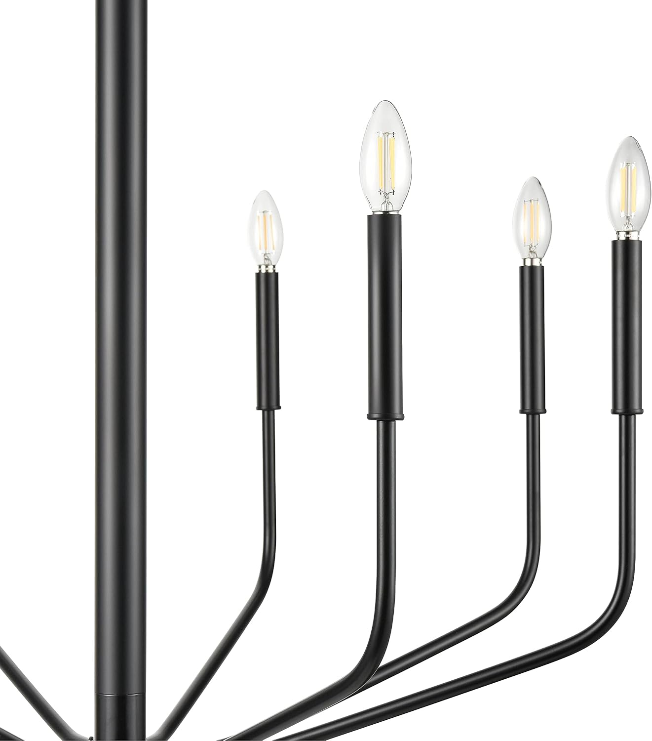 Light Society LS-C516-BLK Philippe 8-Light Chandelier, Black