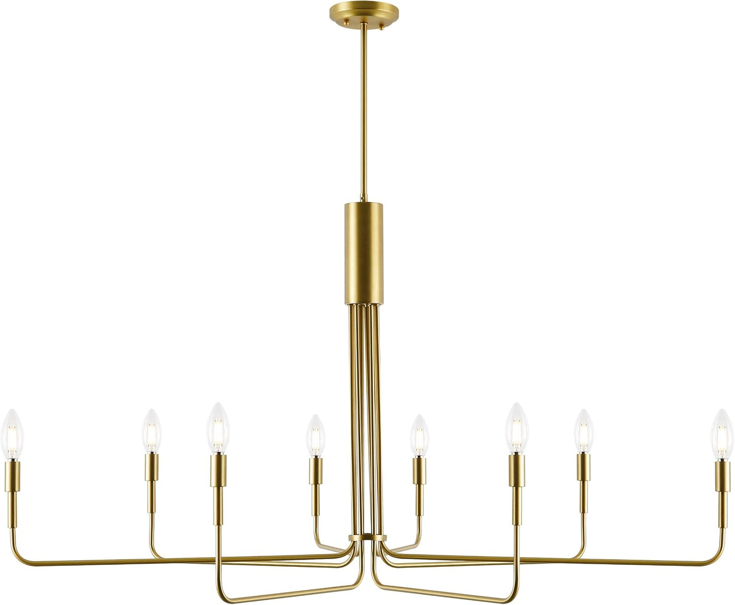 Light Society Bella 8-Light Candelabra Chandelier, Brushed Brass Finish, Contemporary Mid Century Modern Style Lighting Fixture