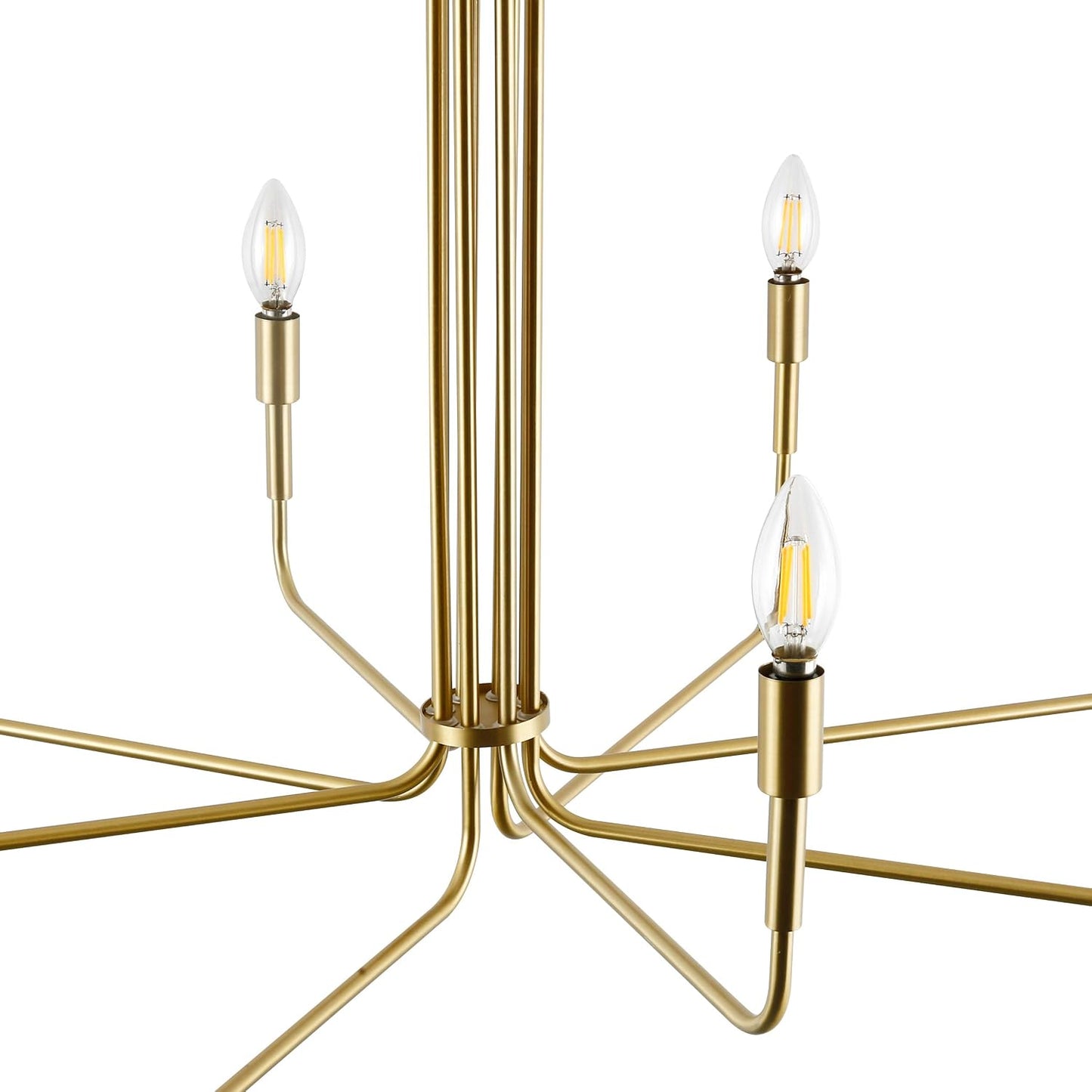 Light Society Bella 8-Light Candelabra Chandelier, Brushed Brass Finish, Contemporary Mid Century Modern Style Lighting Fixture