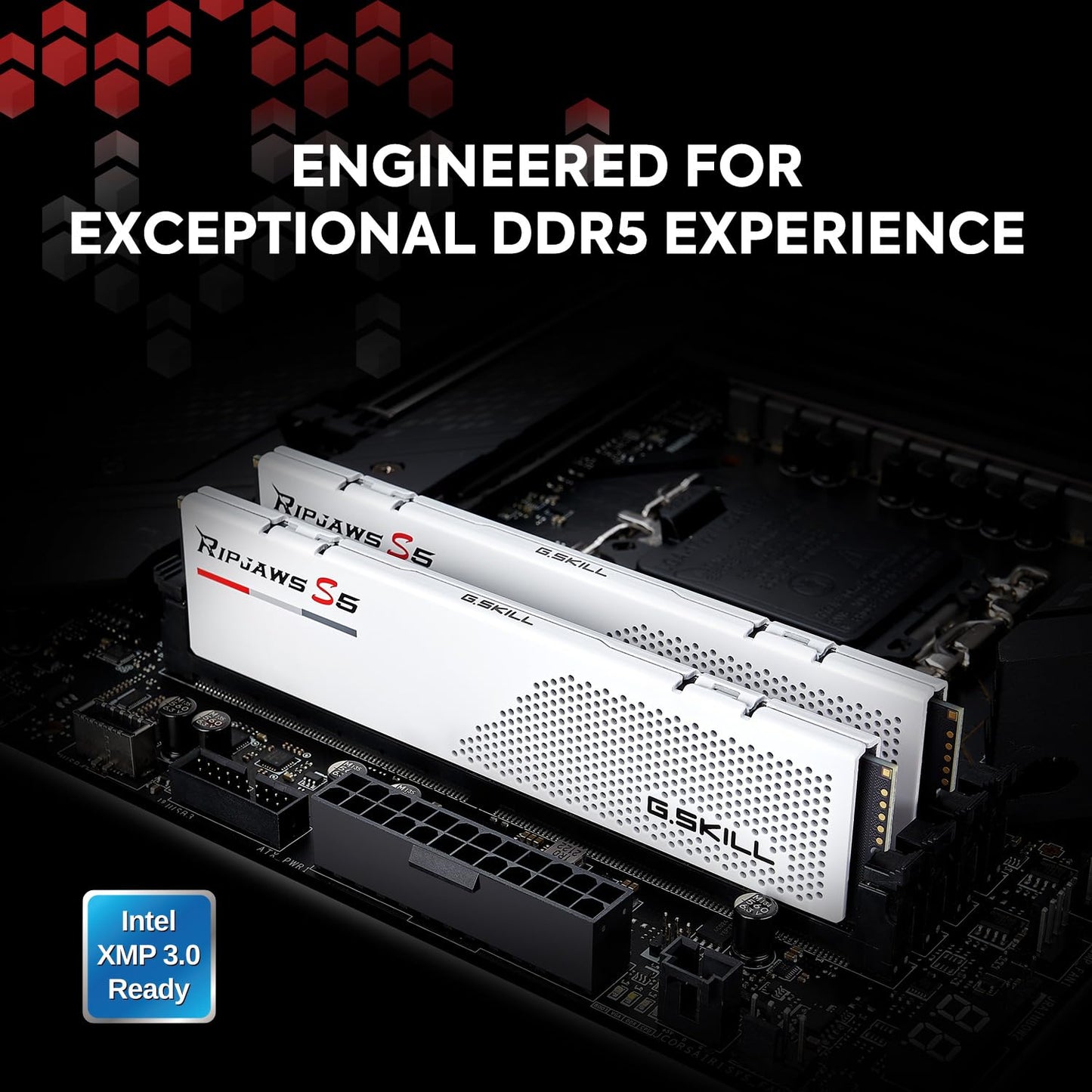G.SKILL Ripjaws S5 Series DDR5 RAM (Intel XMP 3.0 & AMD Expo) 32GB (2x16GB) 6000MT/s CL36-36-36-96 1.35V Desktop Computer Memory U-DIMM - Matte Black (F5-6000J3636F16GX2-RS5K)
