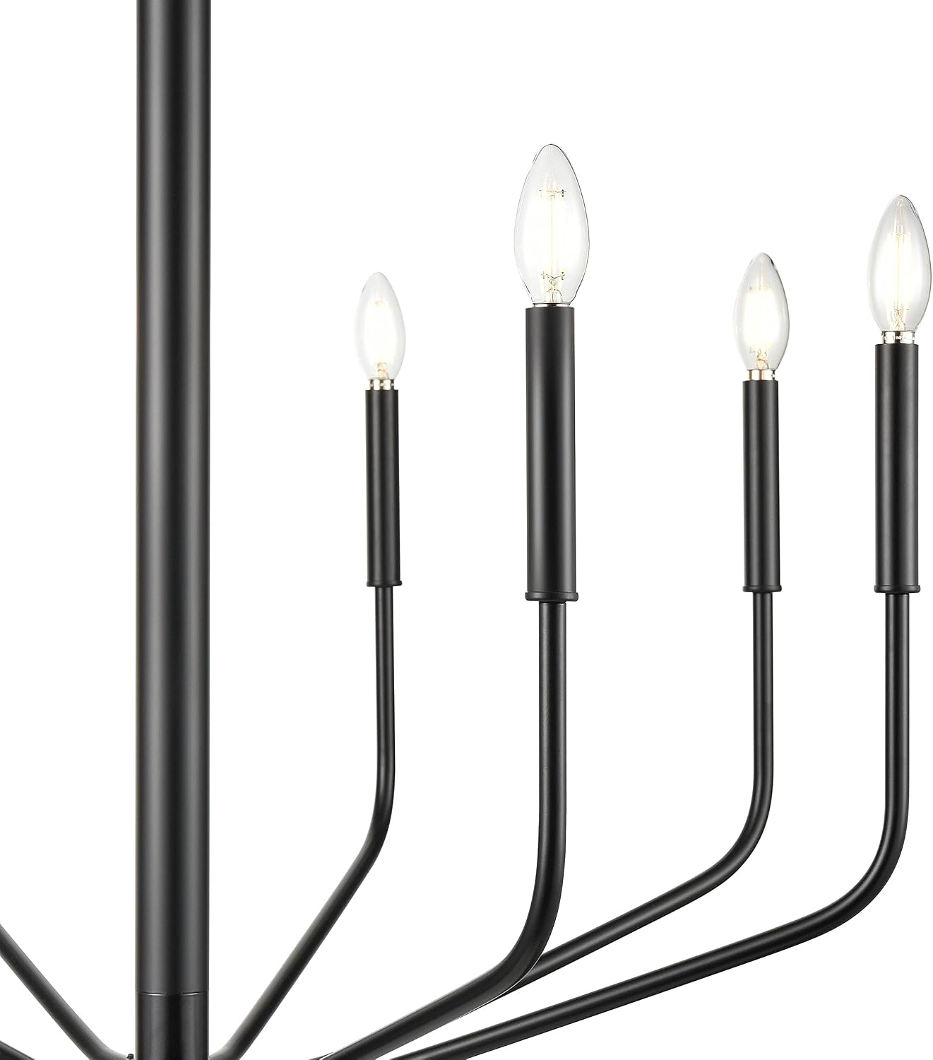 Light Society LS-C516-BLK Philippe 8-Light Chandelier, Black