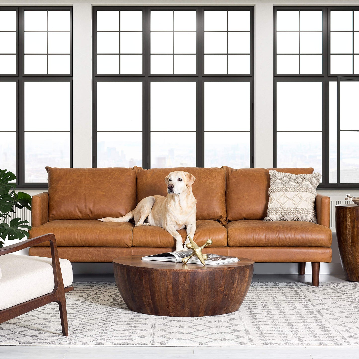 Poly & BARK Goa Coffee Table, Walnut