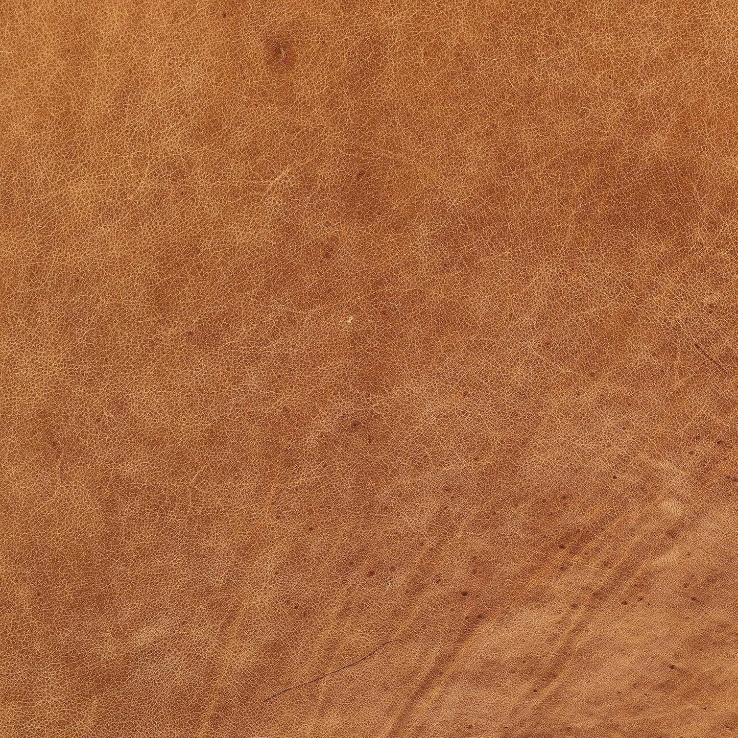 POLY & BARK Turin Ottoman in Full-Grain Pure-Aniline Dyed Italian Tanned Leather in Cognac Tan