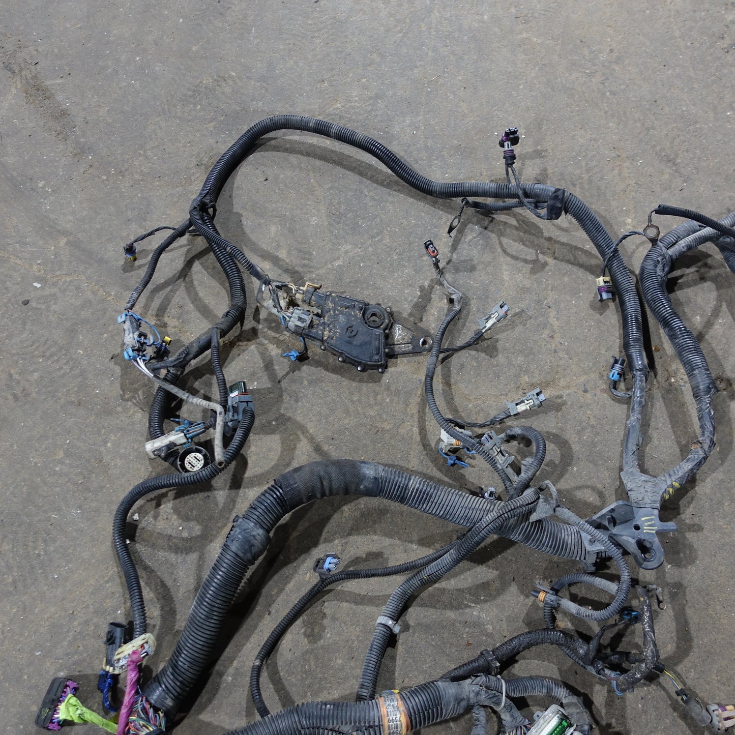 2003 Silverado Sierra 1500 HD 6.0L Engine Wire Harness Loom