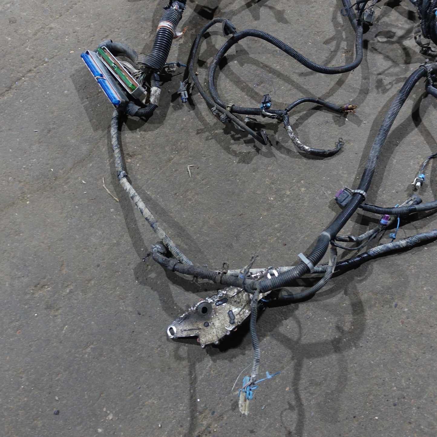Damage 2003 Silverado Sierra 1500 HD 6.0L Engine Wire Harness Loom