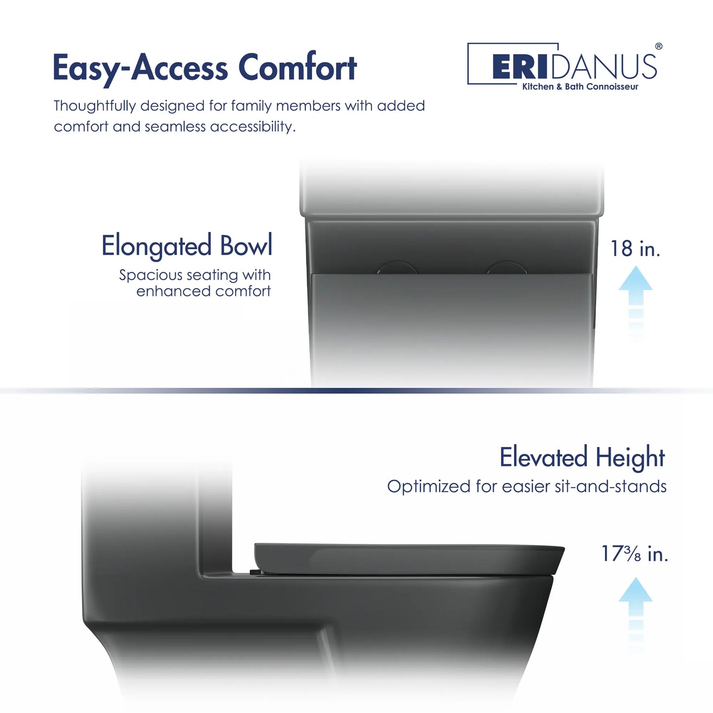 Turner 1.1/1.6 GPF Dual Flush Elongated One-Piece Toilet, Chair Height, White / Matte Black