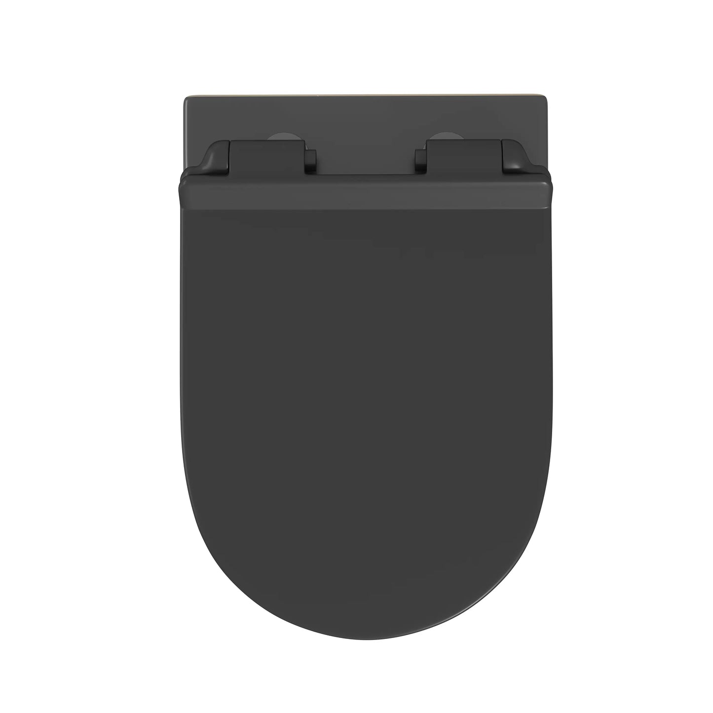 Hampton Wall-Hung Elongated Toilet with In-Wall Tank, Dual Flush 0.8/1.6 GPF