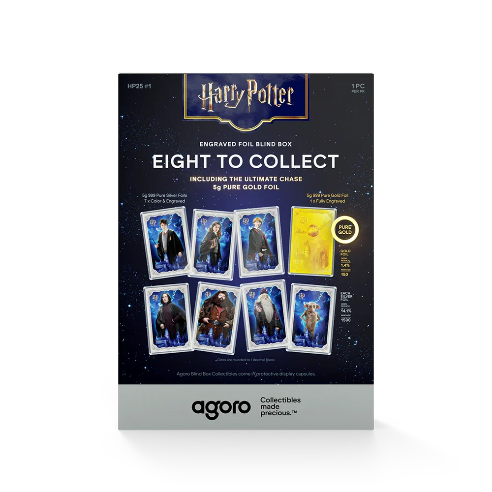 Harry Potter Blind Box - 25 Years of Magic Silver Foil Blind Box - Agoro New
