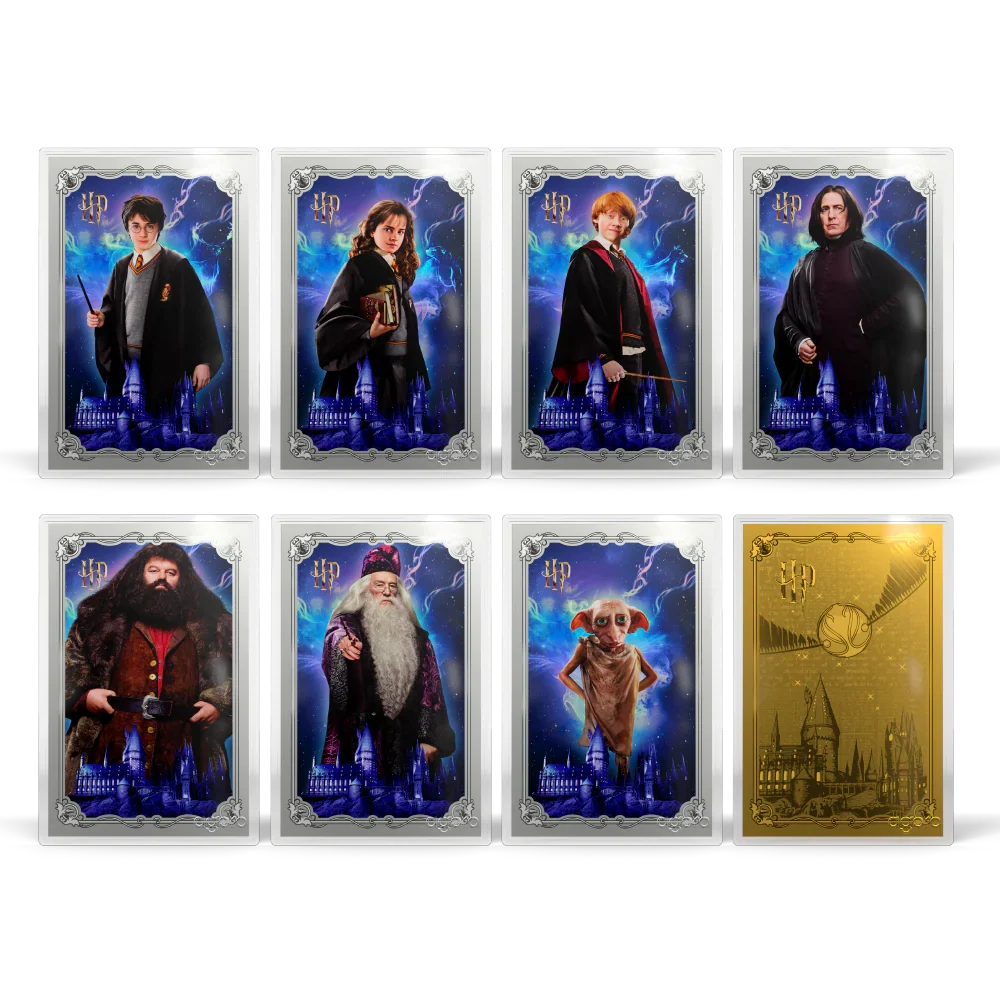 Harry Potter Blind Box - 25 Years of Magic Silver Foil Blind Box - Agoro New