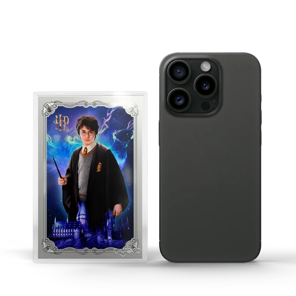 Harry Potter Blind Box - 25 Years of Magic Silver Foil Blind Box - Agoro New