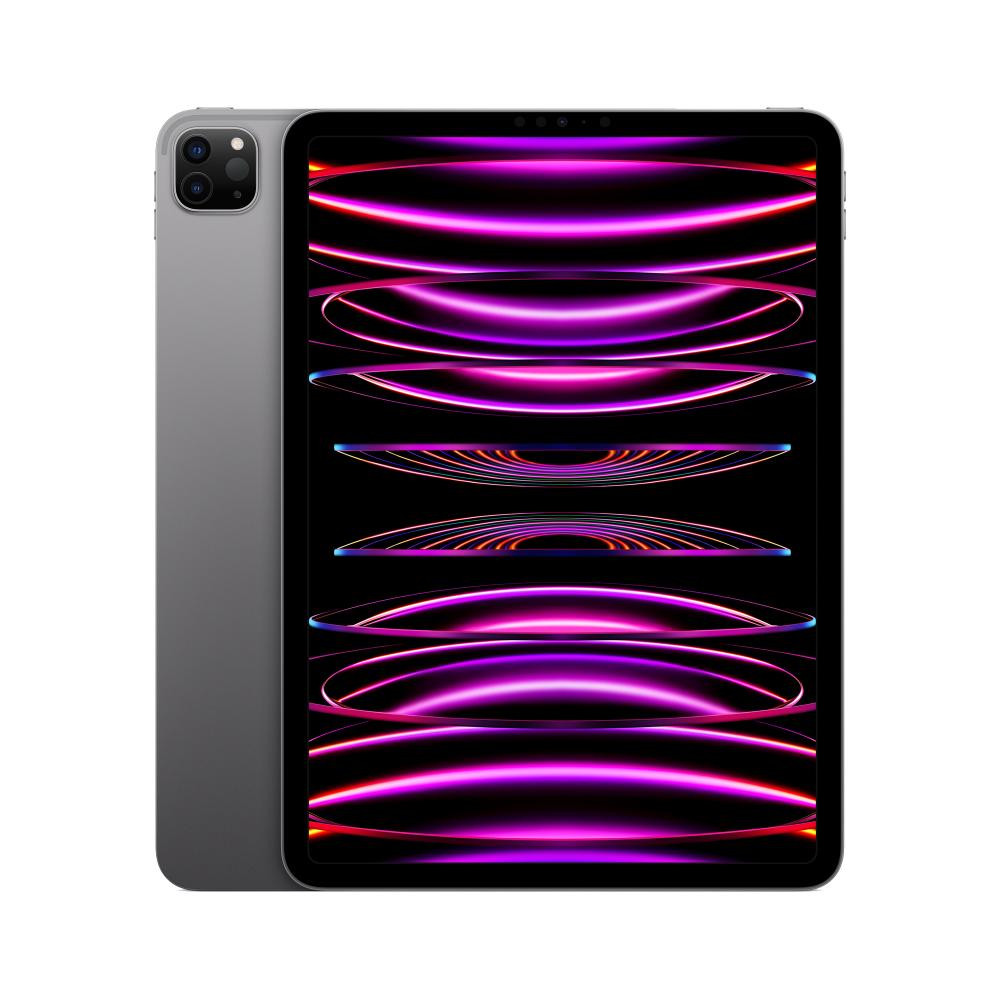 Apple iPad Pro 11 in. 4th Gen (2022) Refurbished - Fair Condition