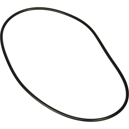 Backplate O Ring | Jandy | R0446300 | Pro Series Replacement Part | Authentic OEM