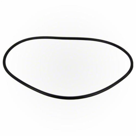 Backplate O Ring | Jandy | R0480300 | EPDM | Pro Series FHP Backplates