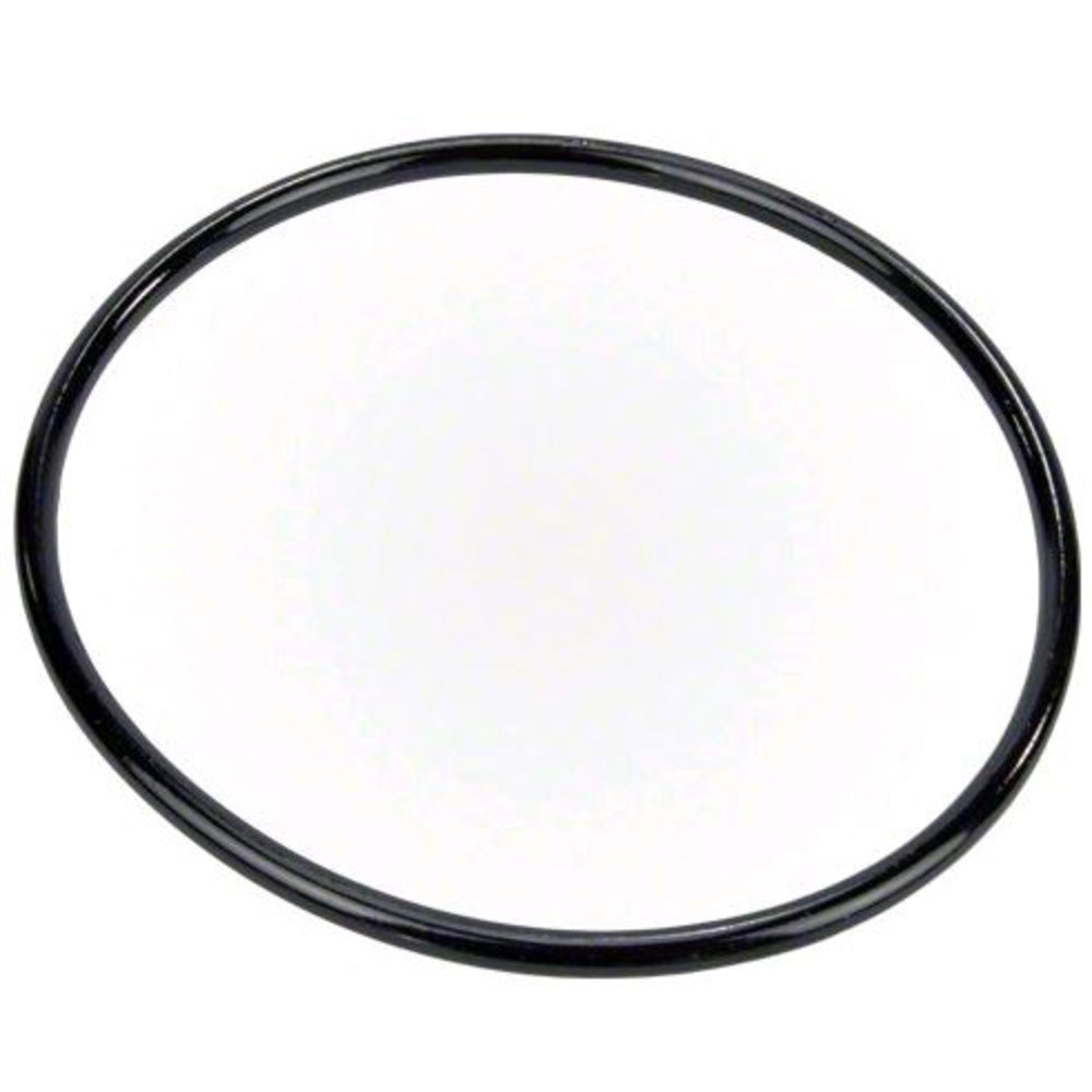 Pump Lid | Pentair | 350013Z | Chemical Resistant O Ring For Pump Lid | Replacement Part