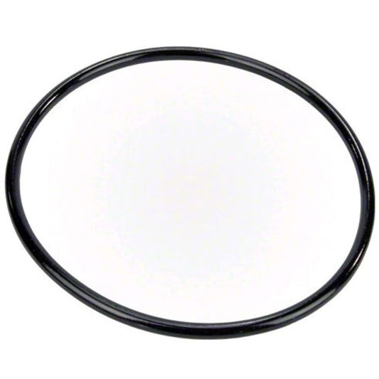 Pump Lid | Pentair | 350013Z | Chemical Resistant O Ring For Pump Lid | Replacement Part
