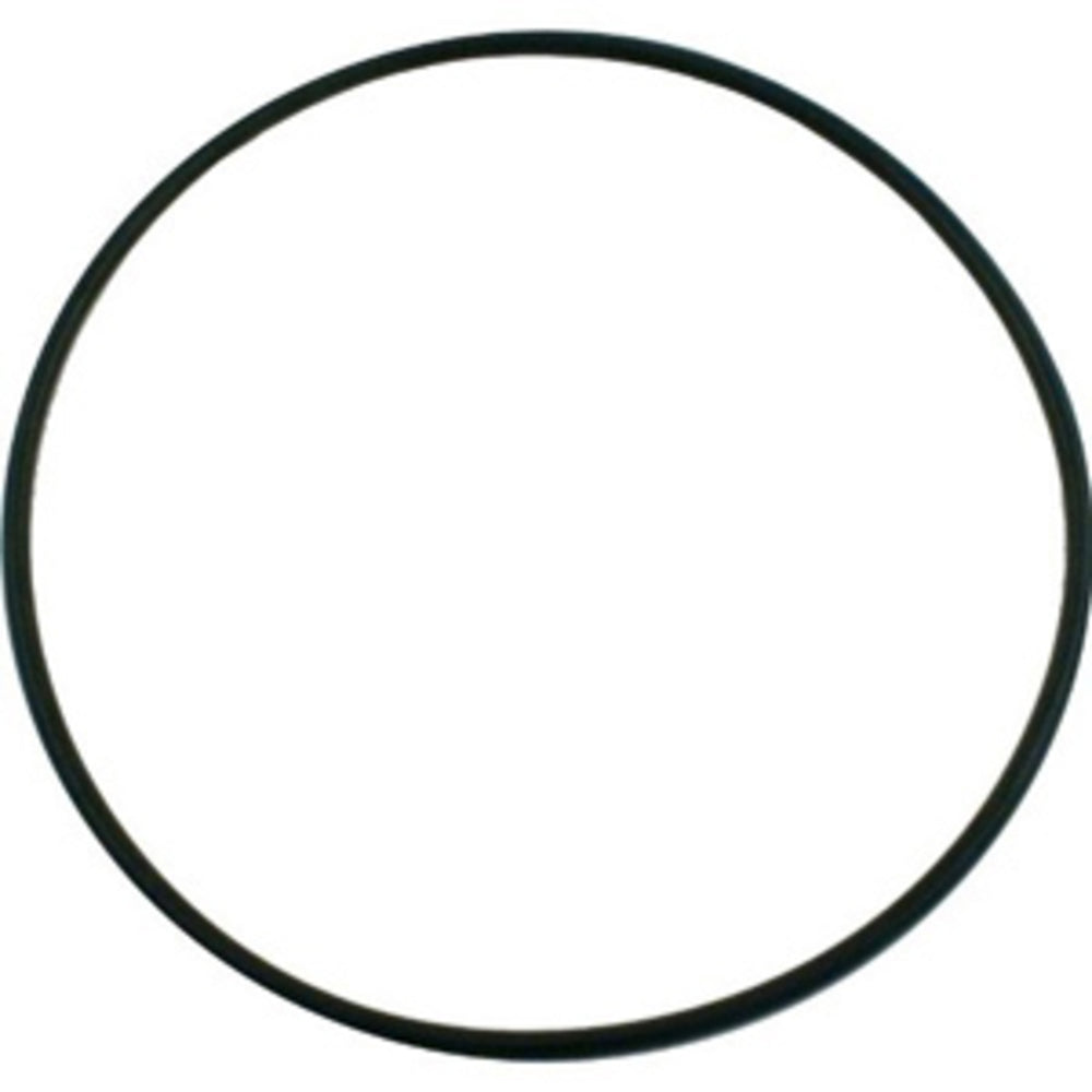 Seal Plate O-Ring For Pinnacle And SuperFlo Pumps | Pentair | 355619Z | (Pinnacle/SuperFlo)