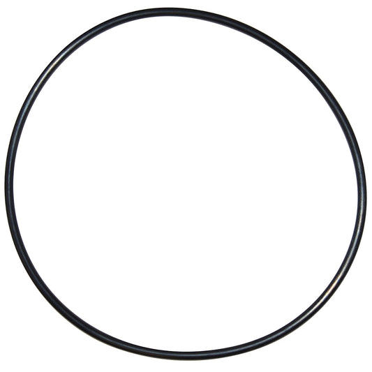Seal Plate O Ring for Pentair Pumps | Pentair | U9-228AZ | EPDM