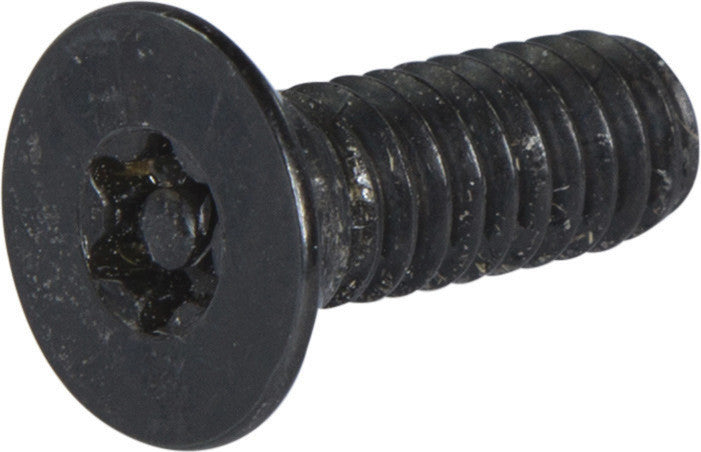 10-24 x 3/4 Tamper Resistant Torx Drive Flat Head Socket Machine Screw Alloy (T-25)