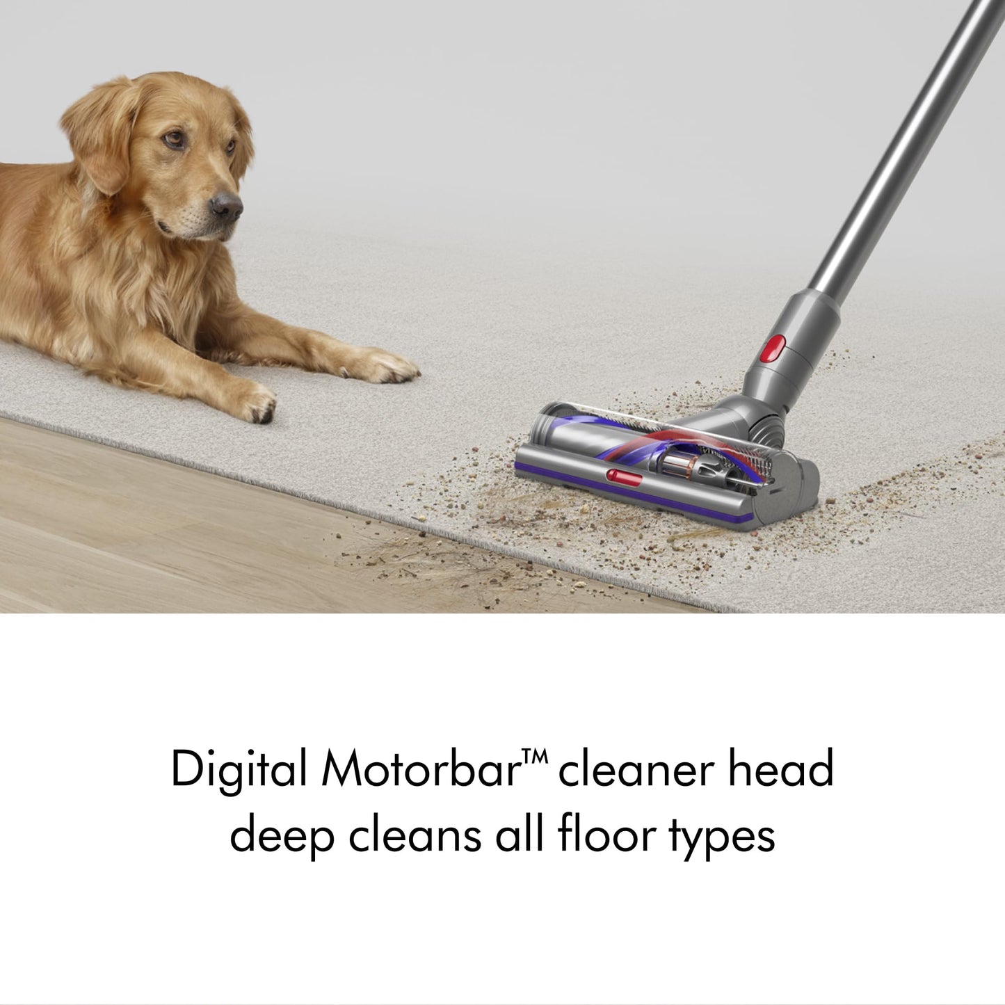 Dyson V15 Detect Cordless Vacuum Cleaner, Yellow/Nickel