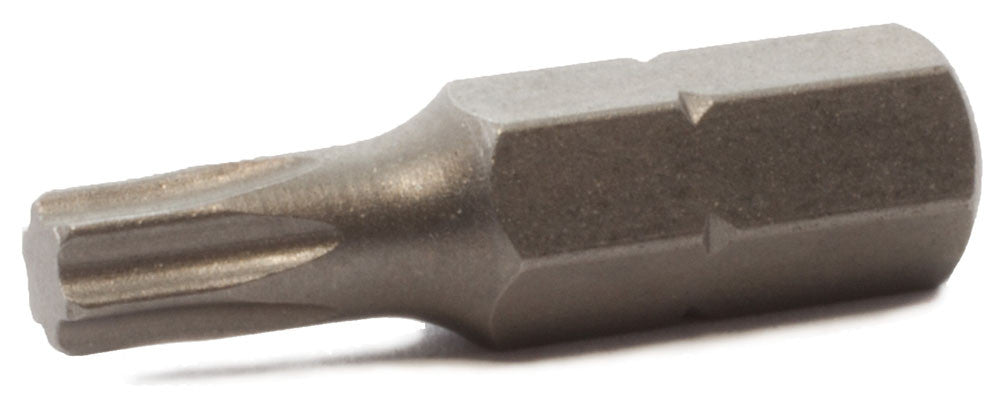 T9 x 1 Torx Insert Bit