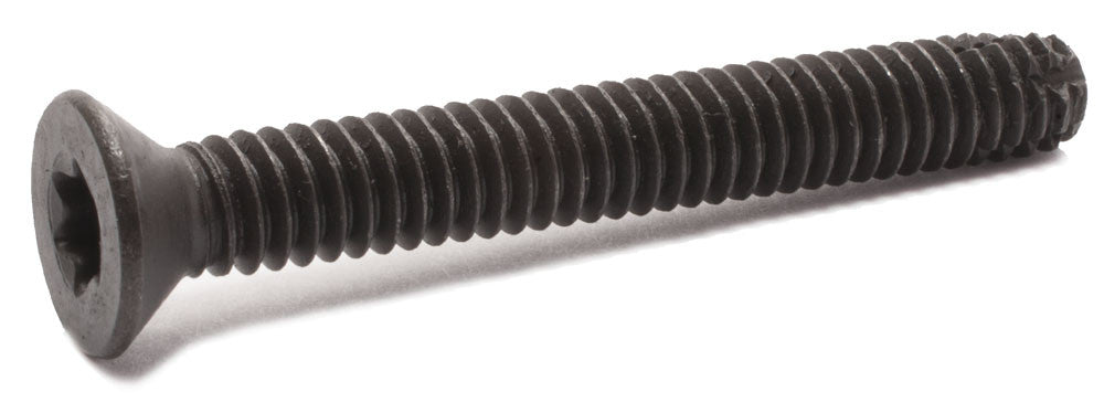 1/4-20 x 2 1/2 Torx Floorboard Screw Type F Black