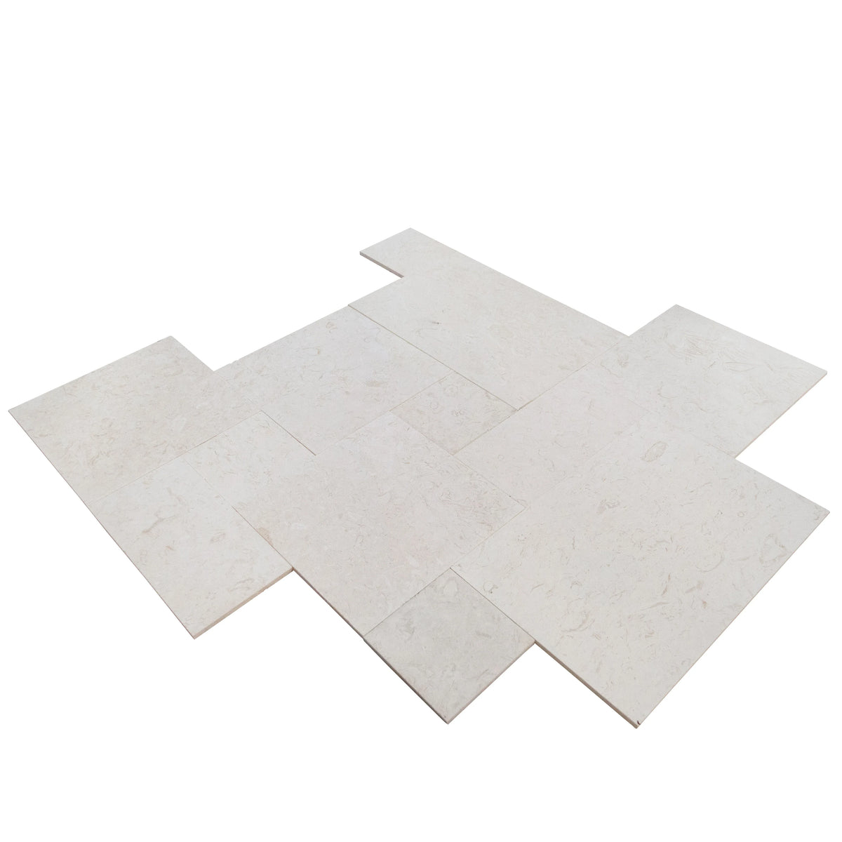Shell Stone White Fossil Limestone Pattern Set Floor and Wall Tile