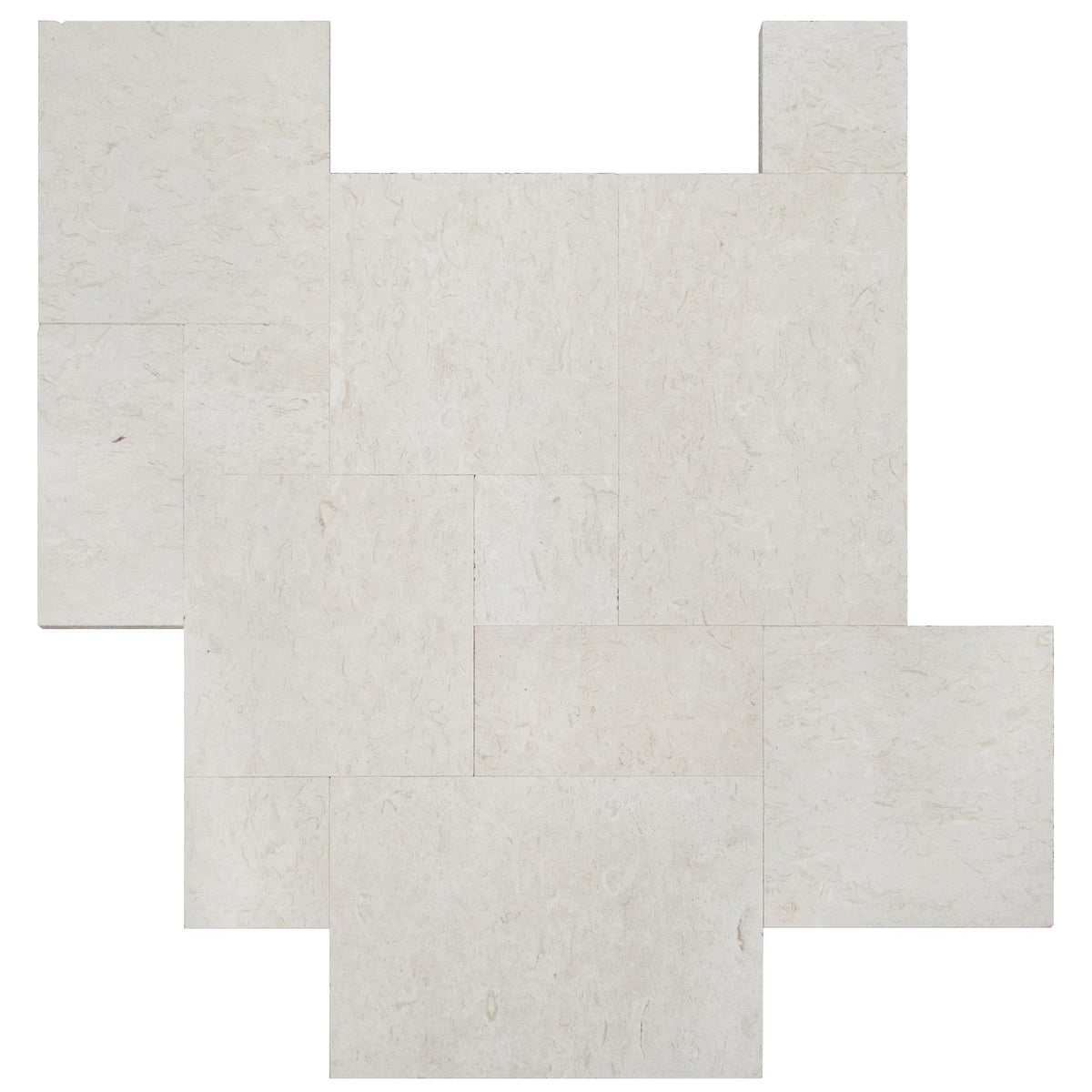Shell Stone White Fossil Limestone Pattern Set Floor and Wall Tile