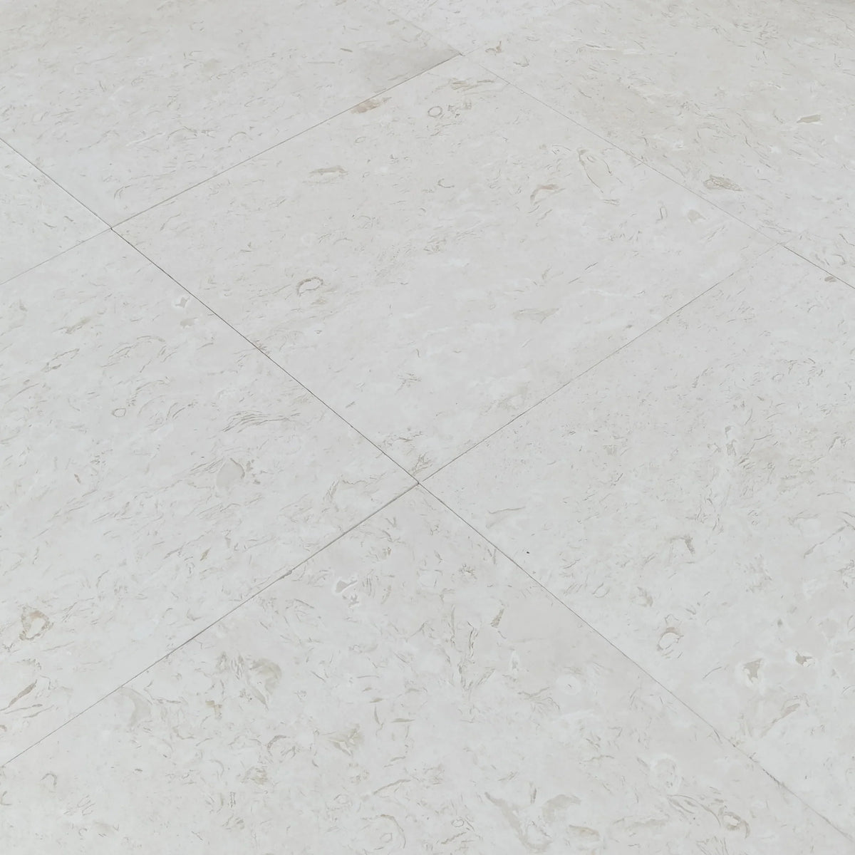Shell Stone White Limestone Tiles Floor and Wall Tile