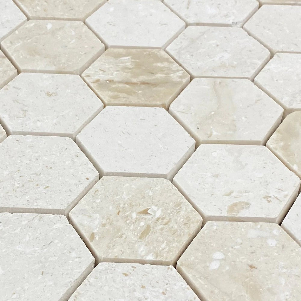 Shell Stone Limestone 2" Hexagon Honed on 12" x 12" Mesh Mosaic Tile