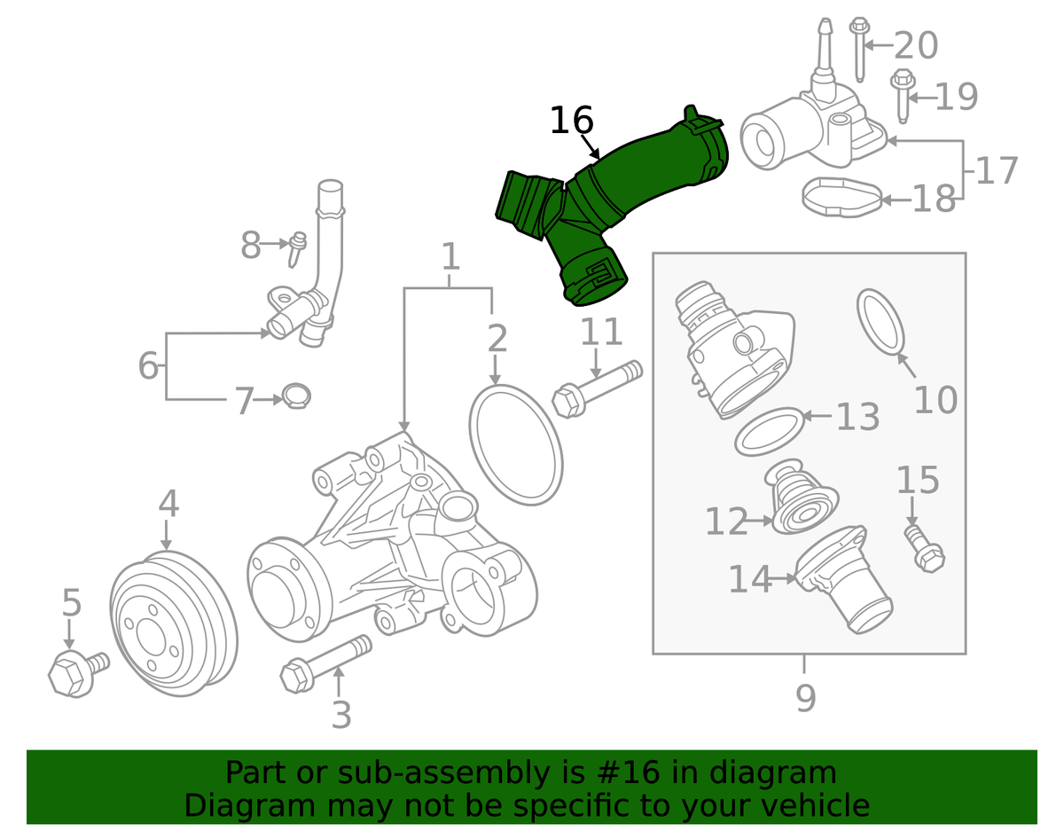 Coyote 2011-2025 Upper Y Hose for Thermostat/Water Neck 5.0L