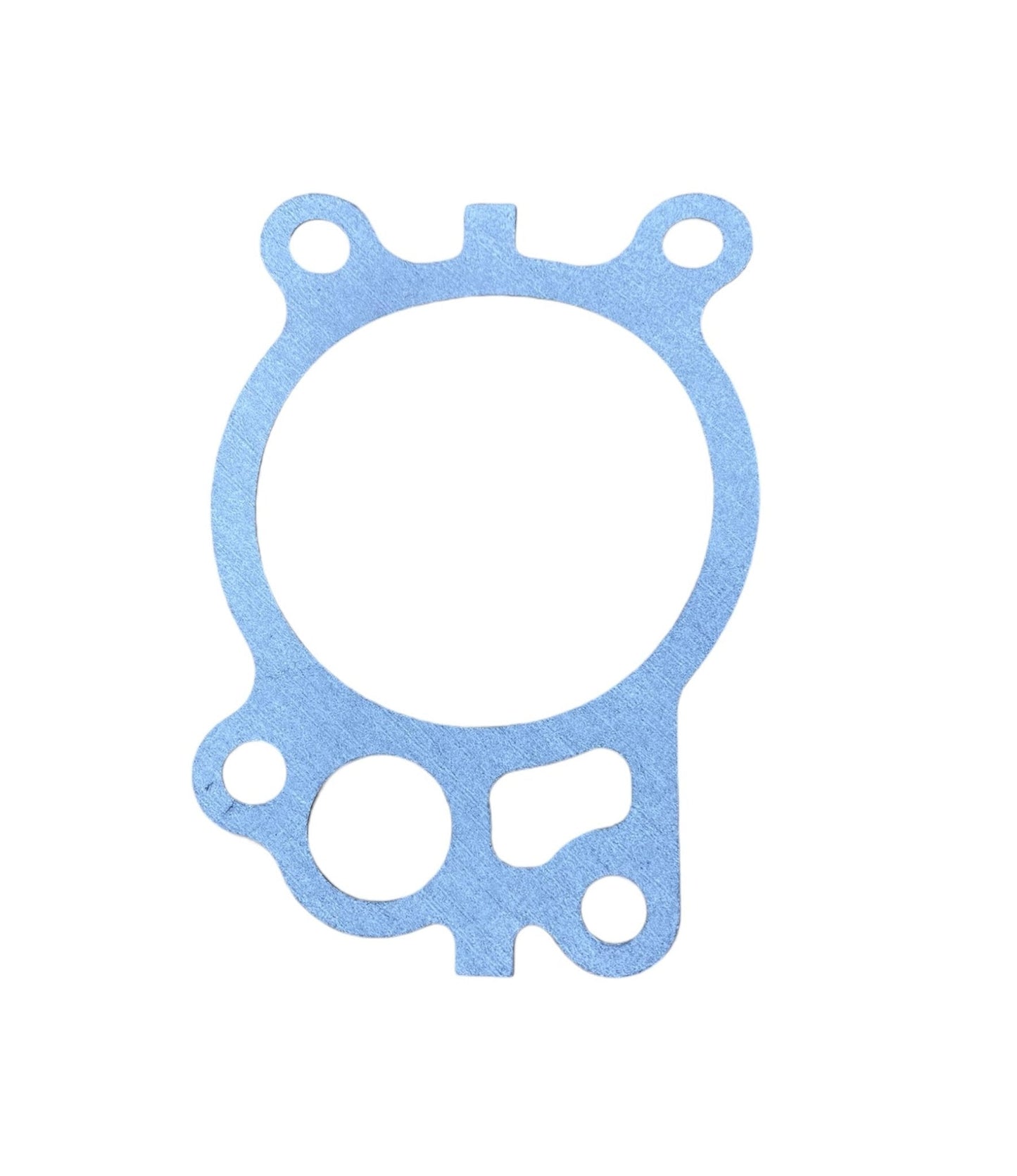 Water Pump Gasket for 2018-Current Roxor