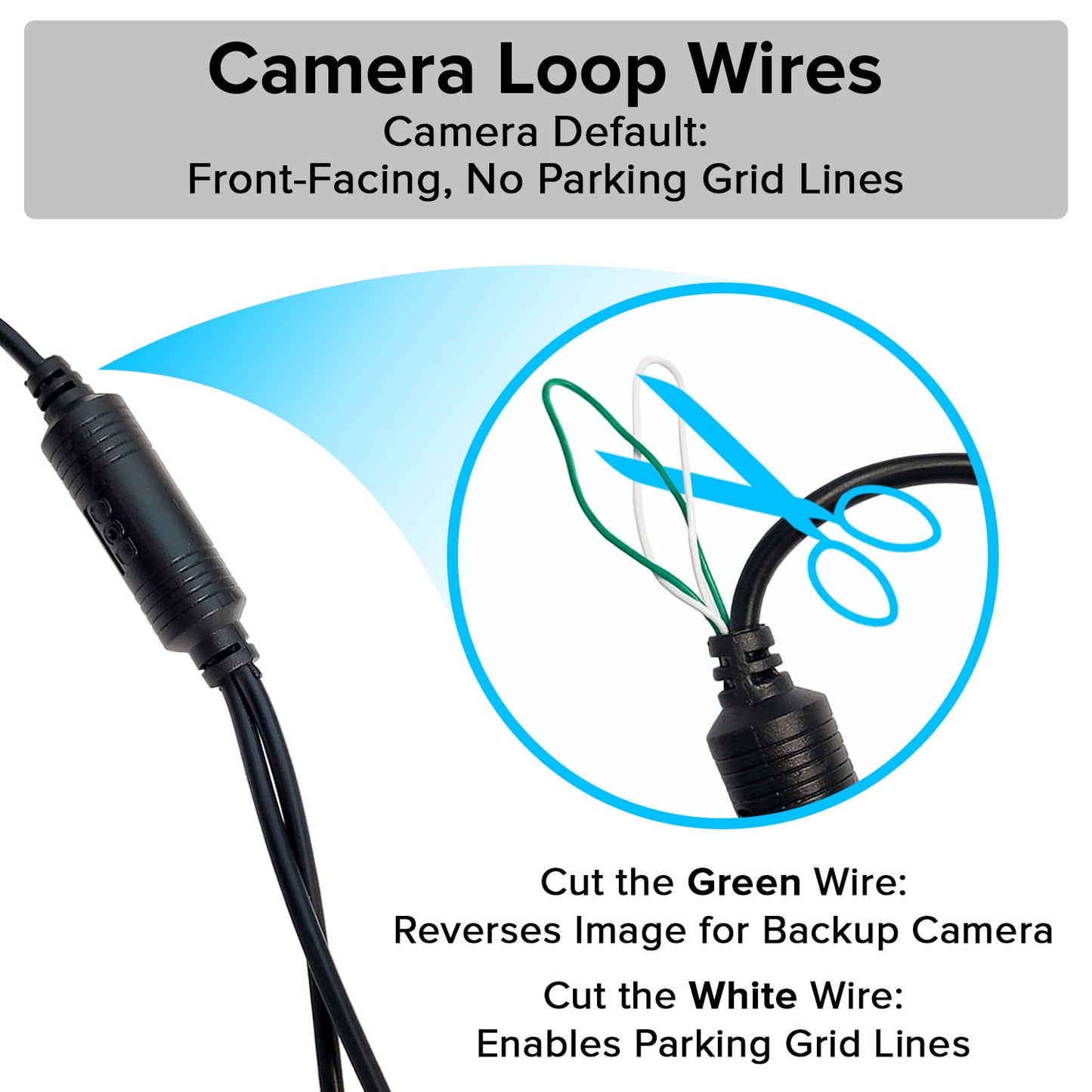 Master Tailgaters Small License Plate Frame Backup or Front Camera with 8 IR LED Night Vision, IP68 Waterproof, and 170° Wide Angle Camera